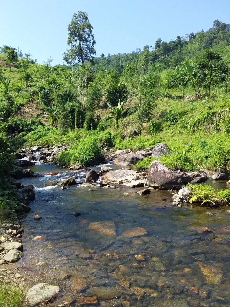 Dehing Patkai National Park