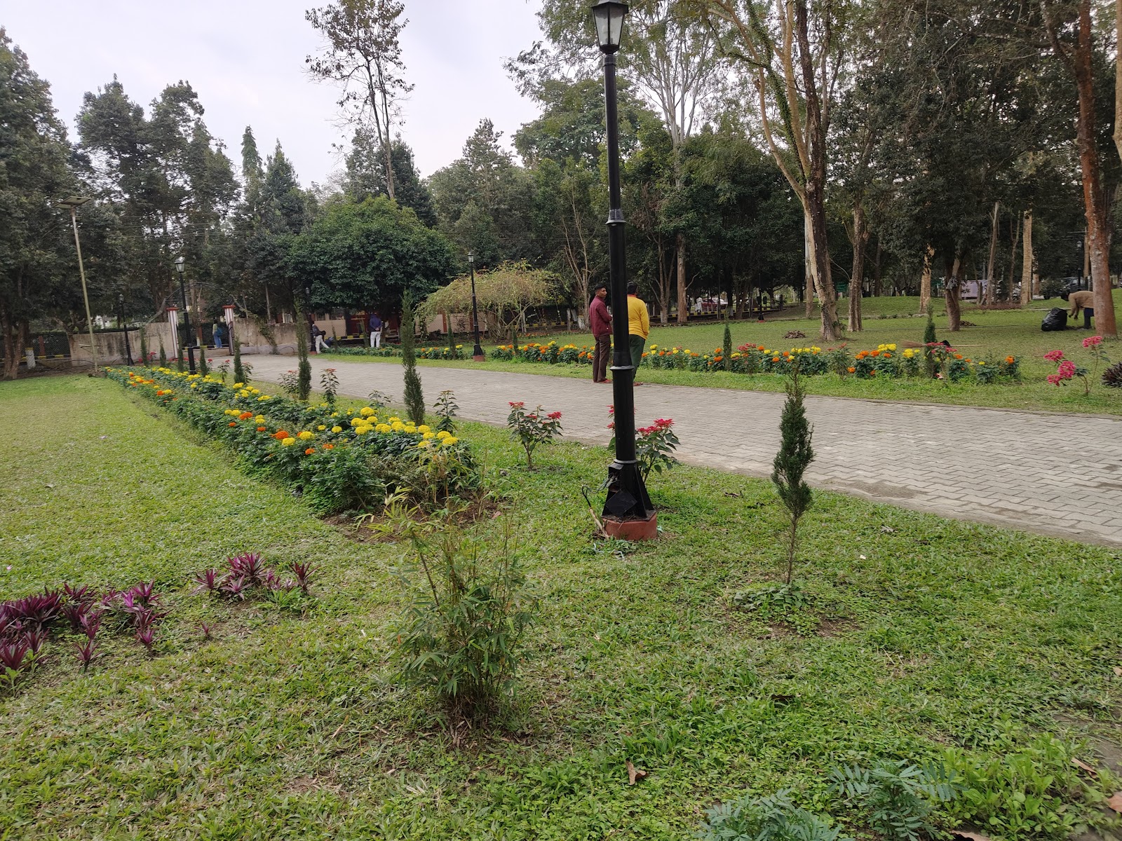 Dibrugarh University Campus