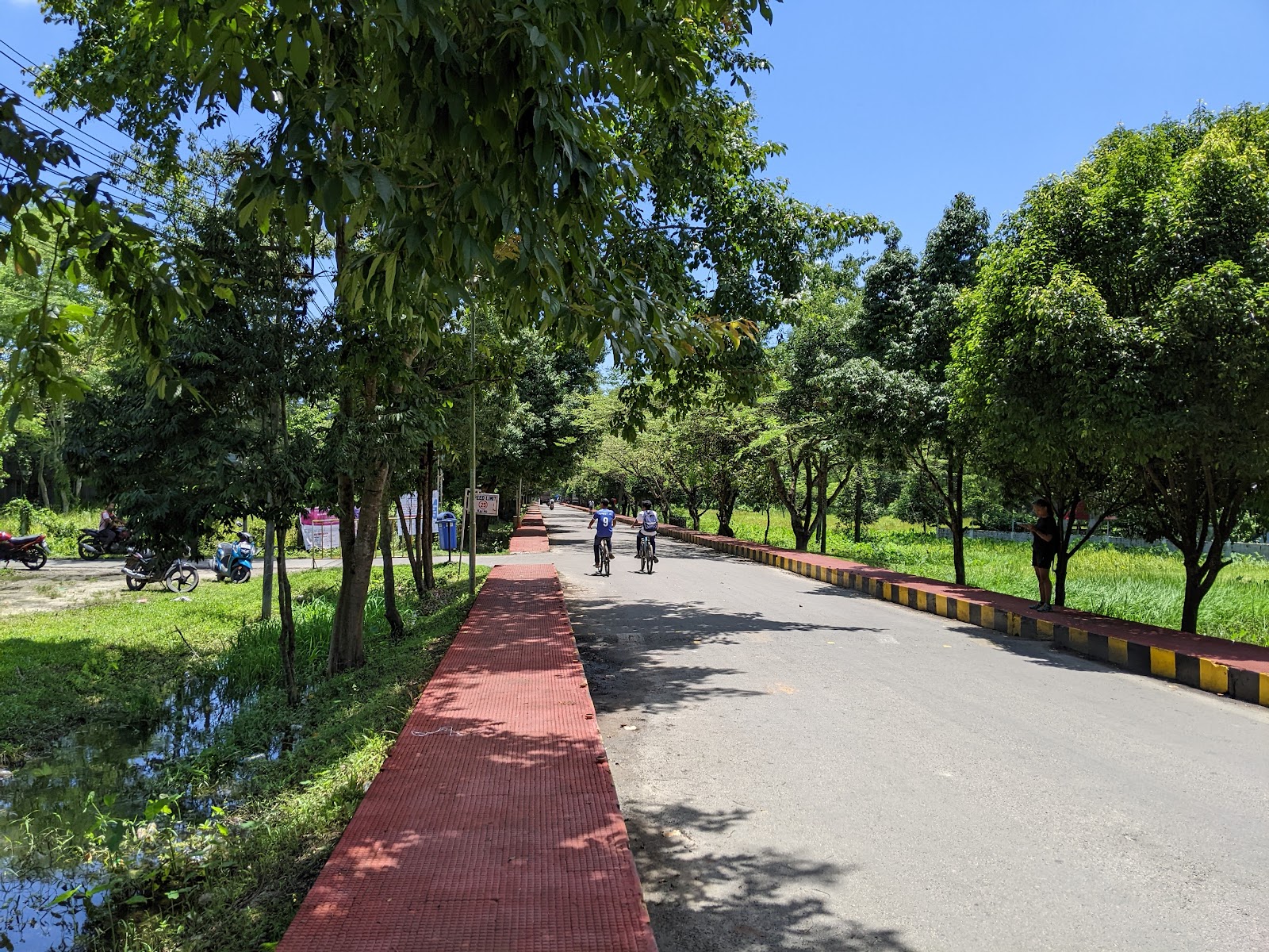 Dibrugarh University Campus