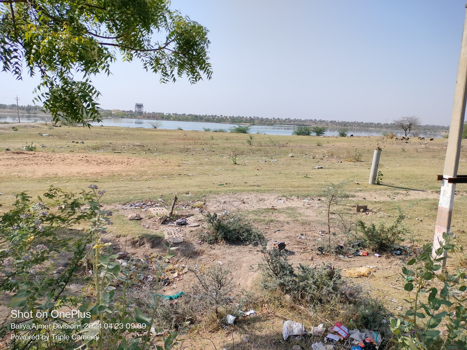 Local Festival Grounds