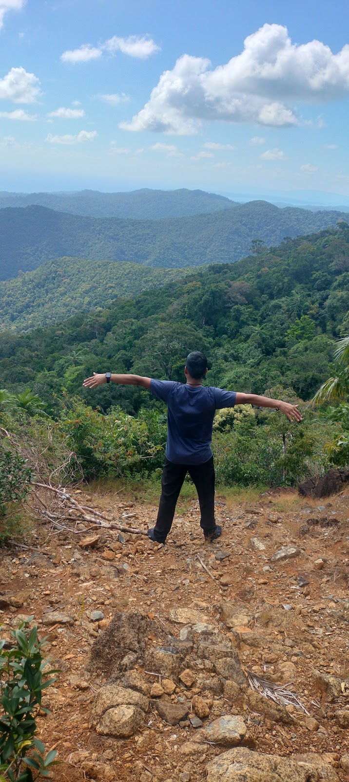Bird Watching at Saddle Peak