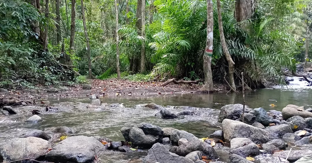 Bird Watching at Saddle Peak