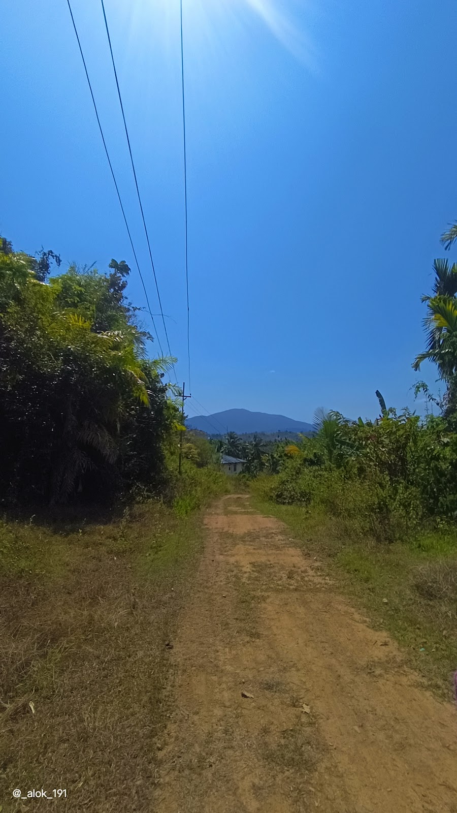Bird Watching at Saddle Peak