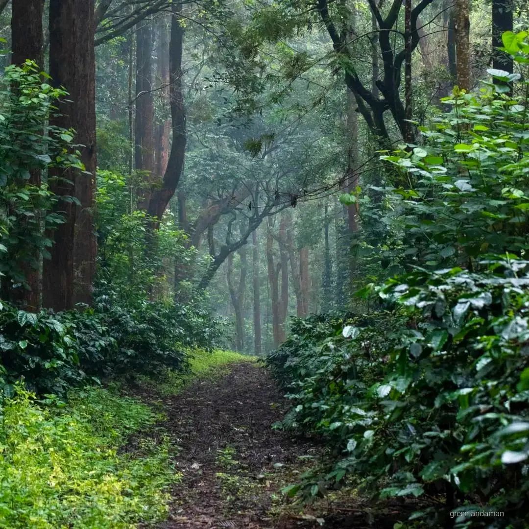 Saddle Peak National Park