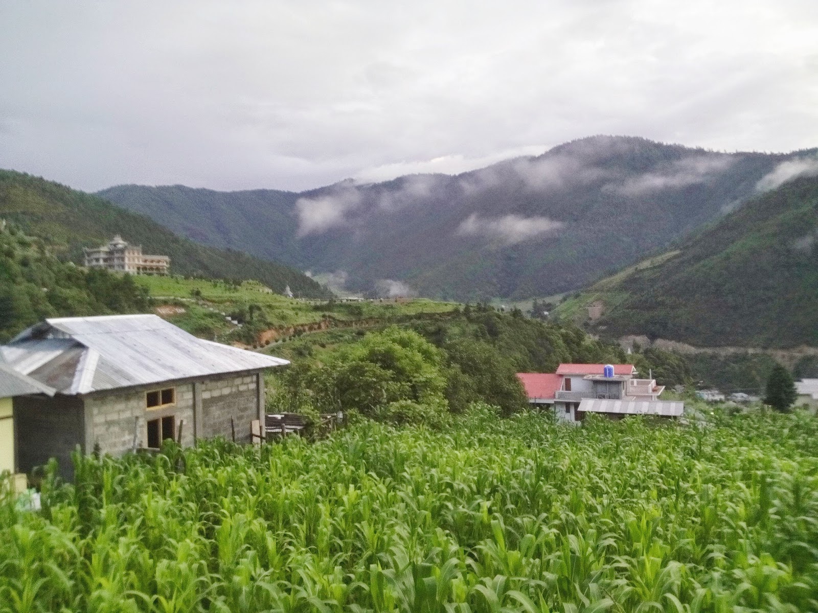 National Research Centre on Yak