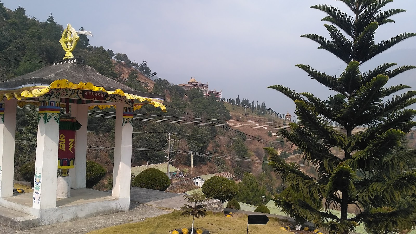 National Research Centre on Yak