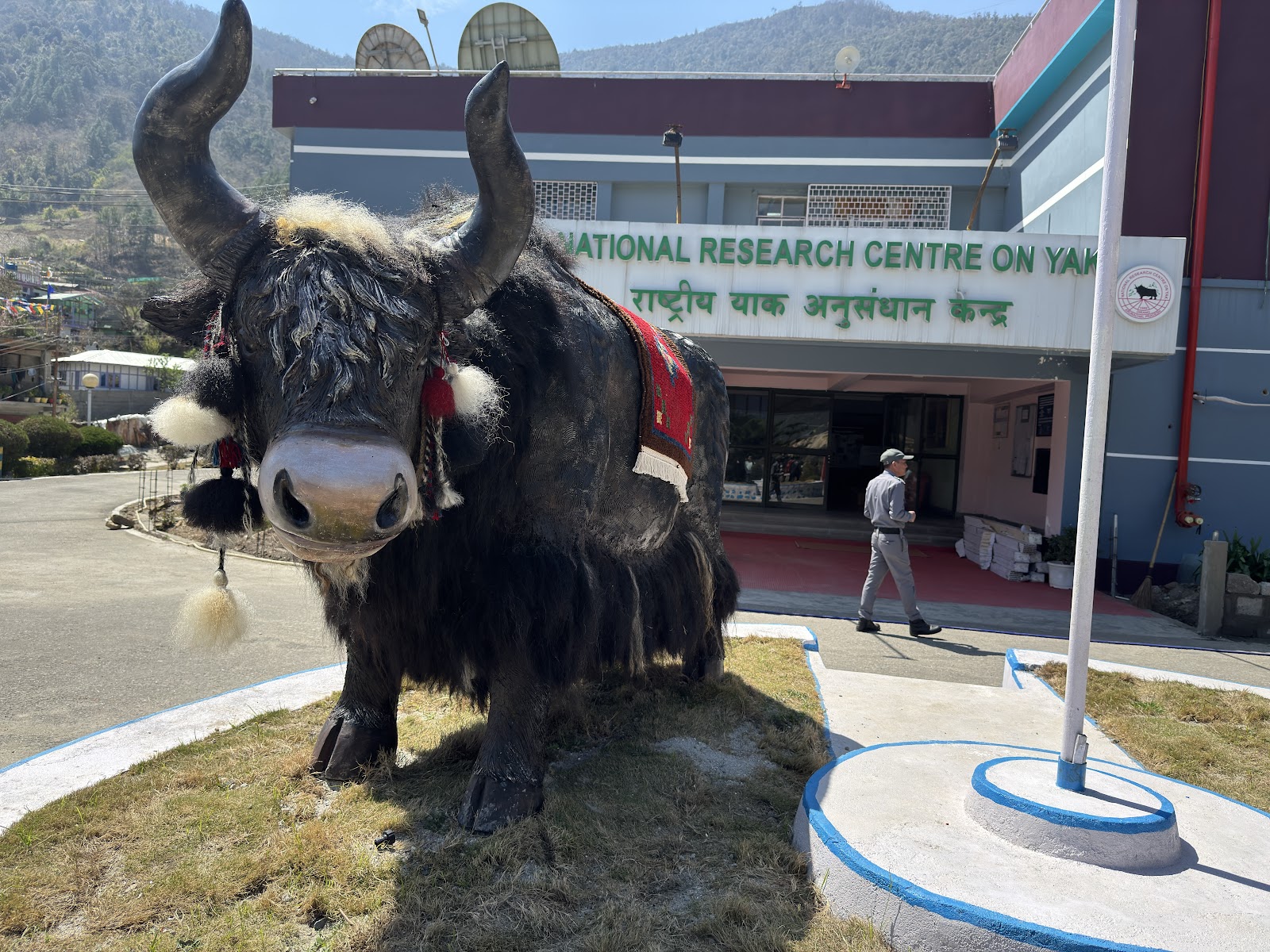 National Research Centre on Yak