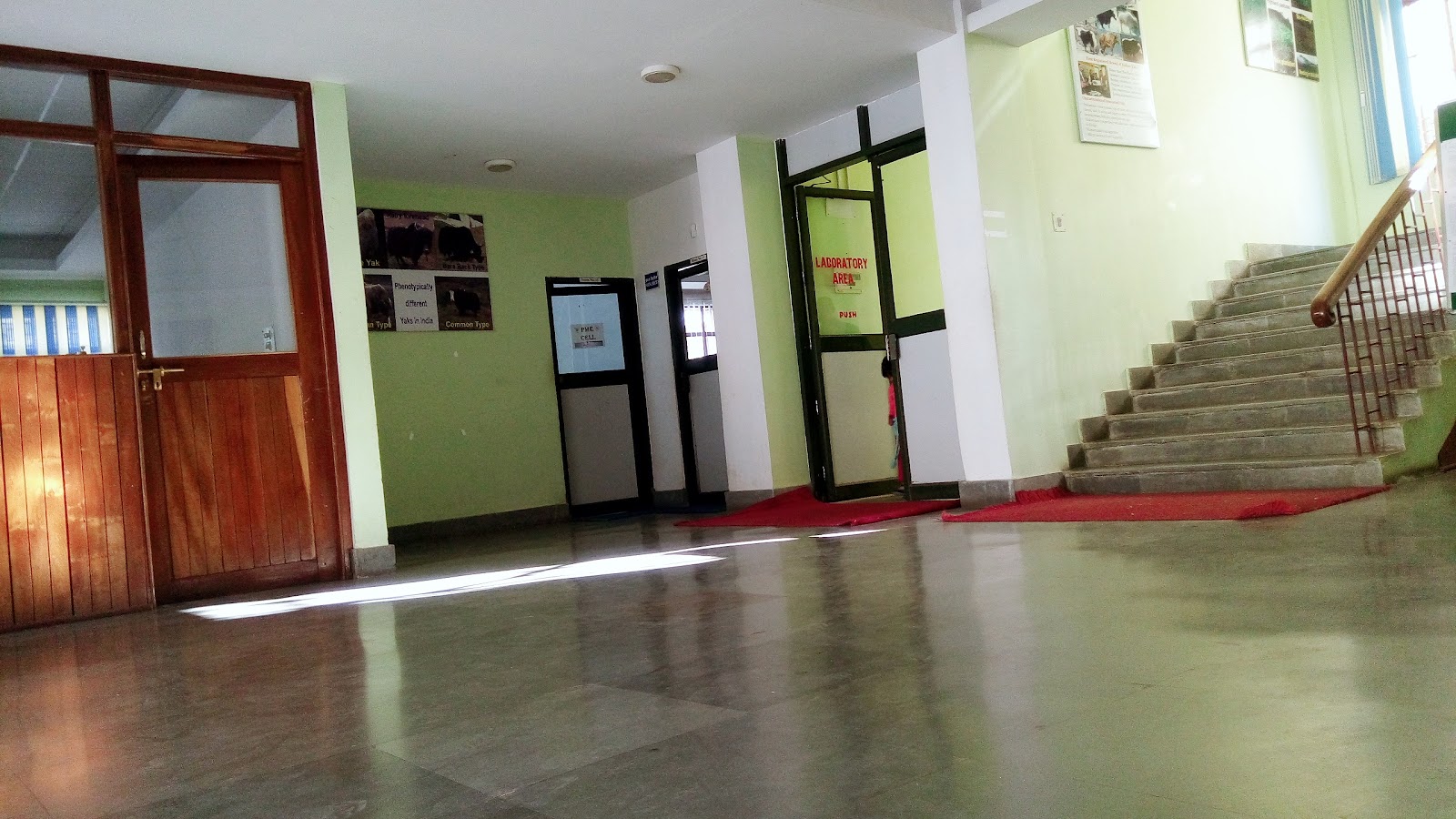 National Research Centre on Yak