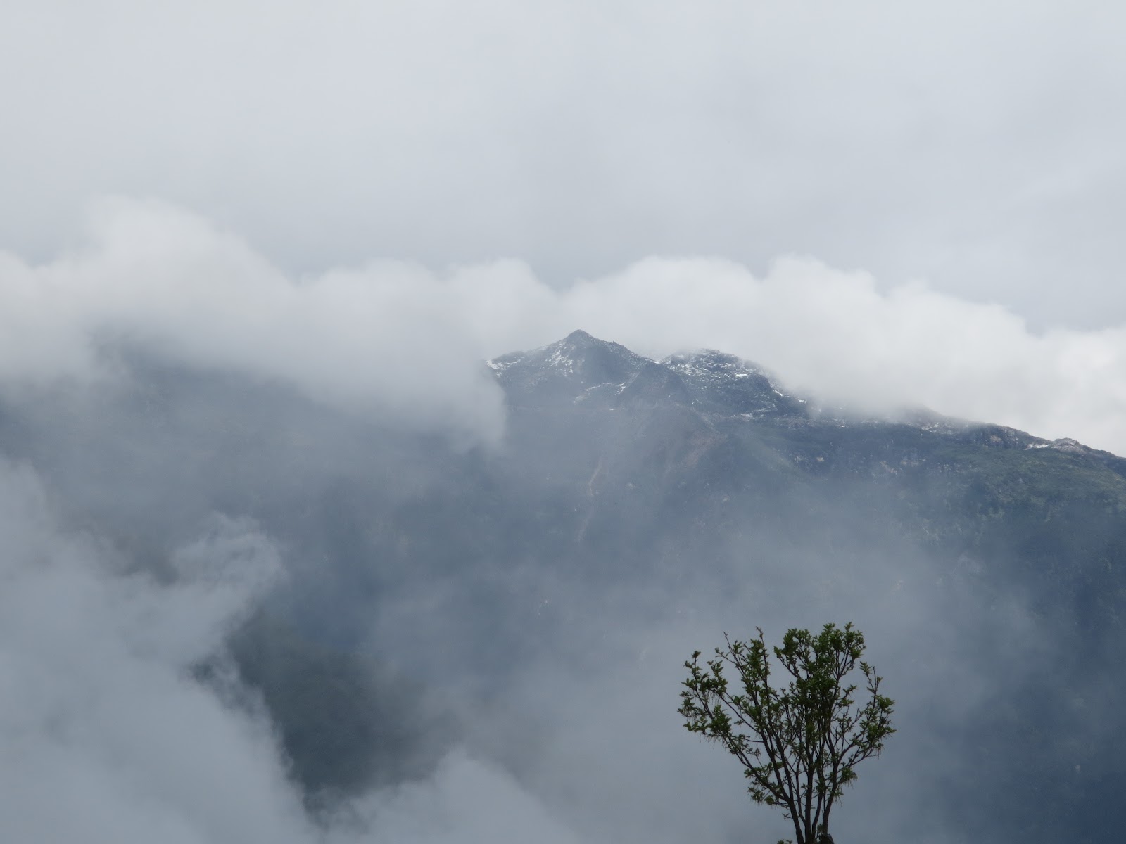 National Research Centre on Yak