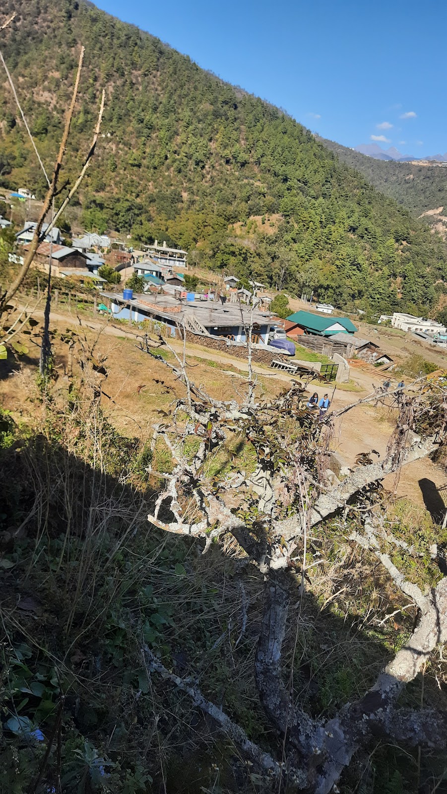 National Research Centre on Yak