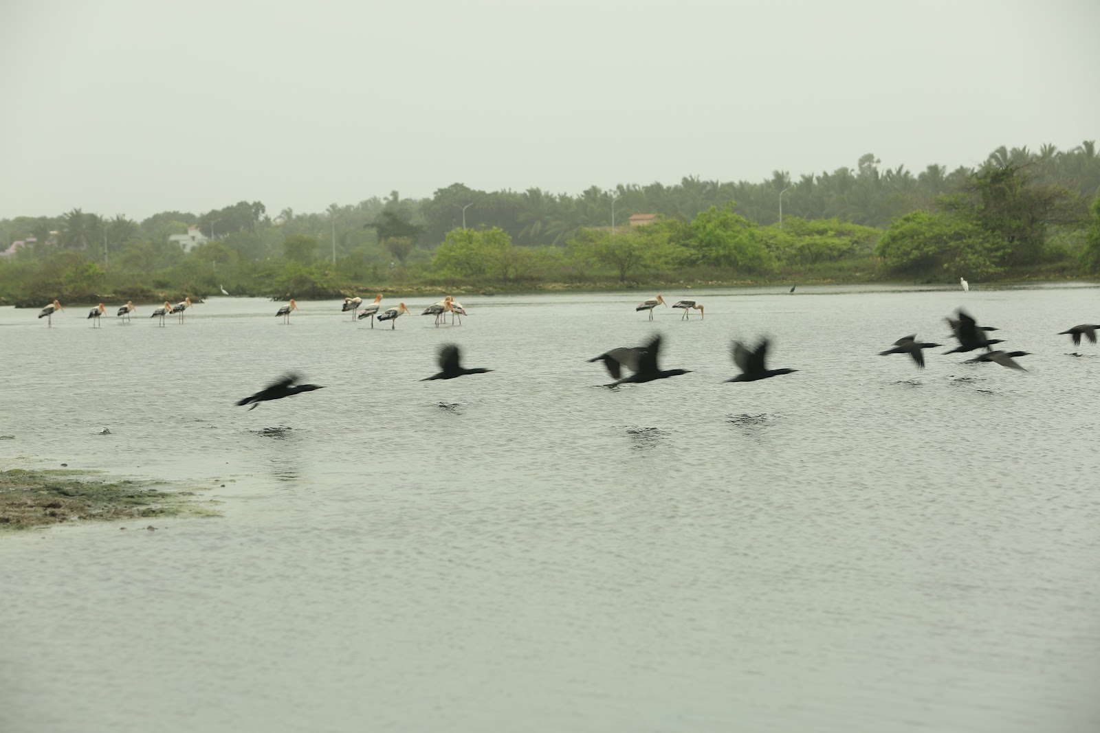 Diu Wildlife Sanctuary