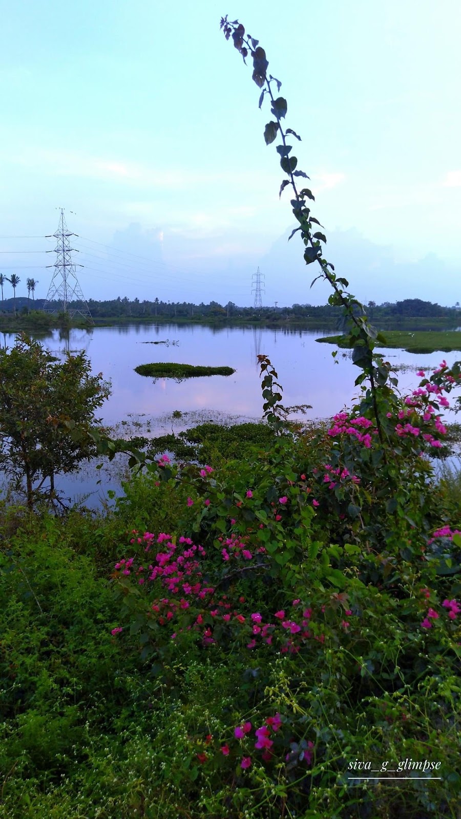 Doddaballapur Lake