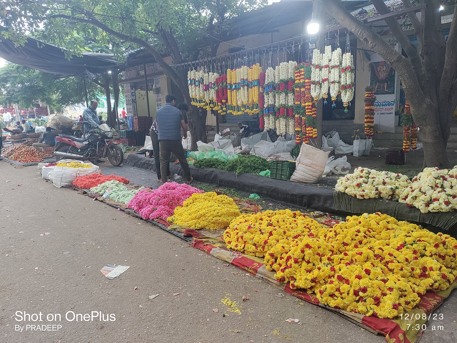Doddaballapur Market