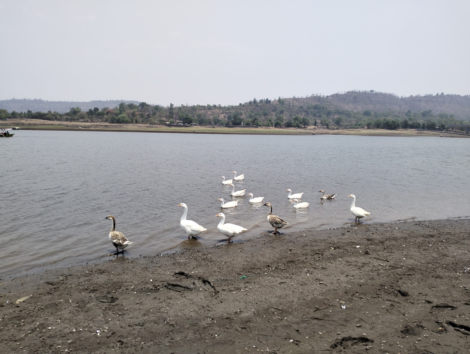 Dudhani Lake