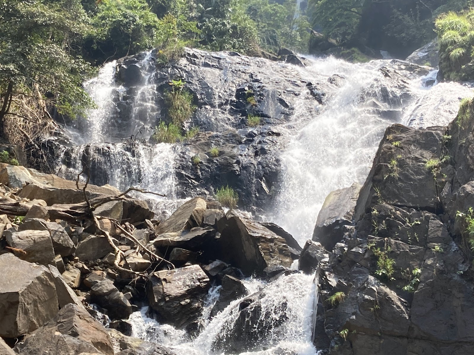 Bhagwan Mahavir Wildlife Sanctuary