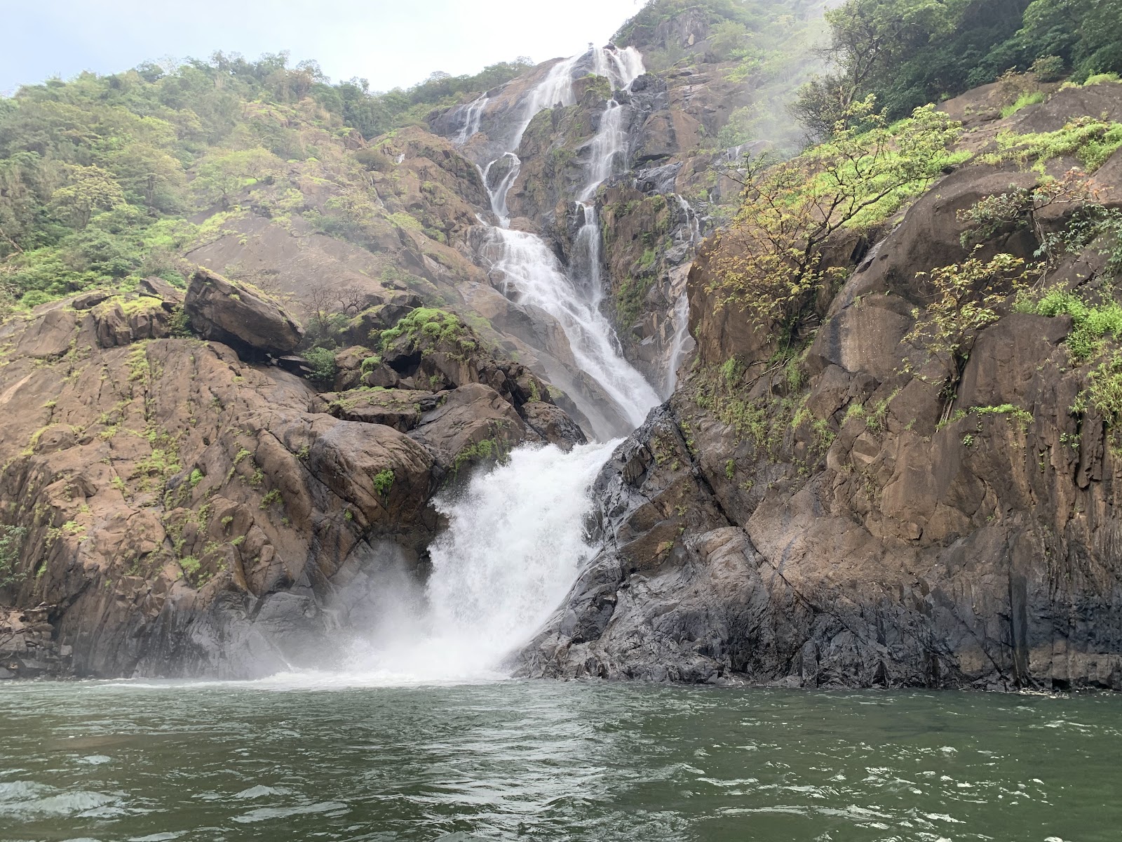 Bhagwan Mahavir Wildlife Sanctuary