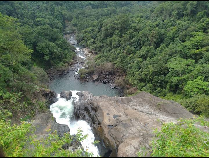 Bhagwan Mahavir Wildlife Sanctuary