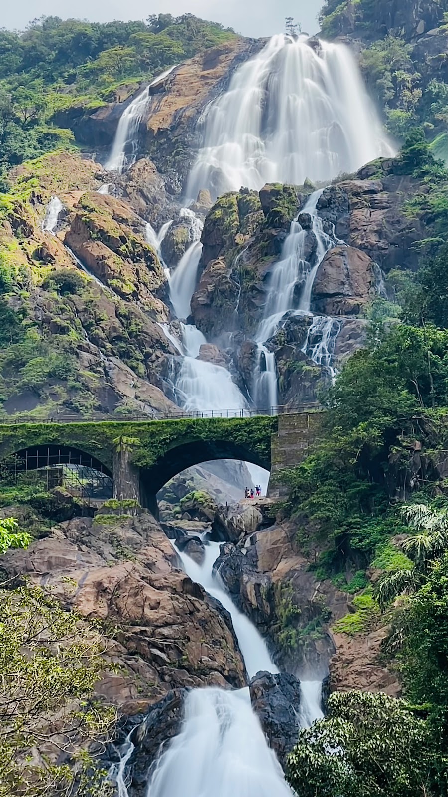 Mollem National Park