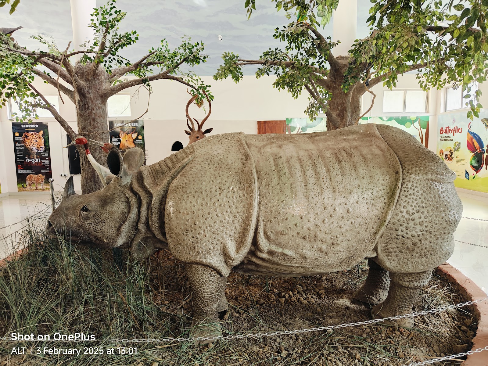 Dudhwa National Park