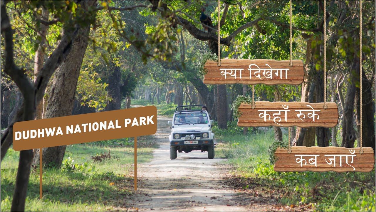Dudhwa National Park