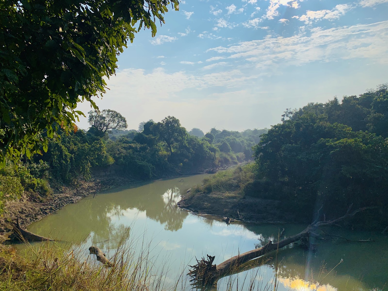 Dudhwa National Park