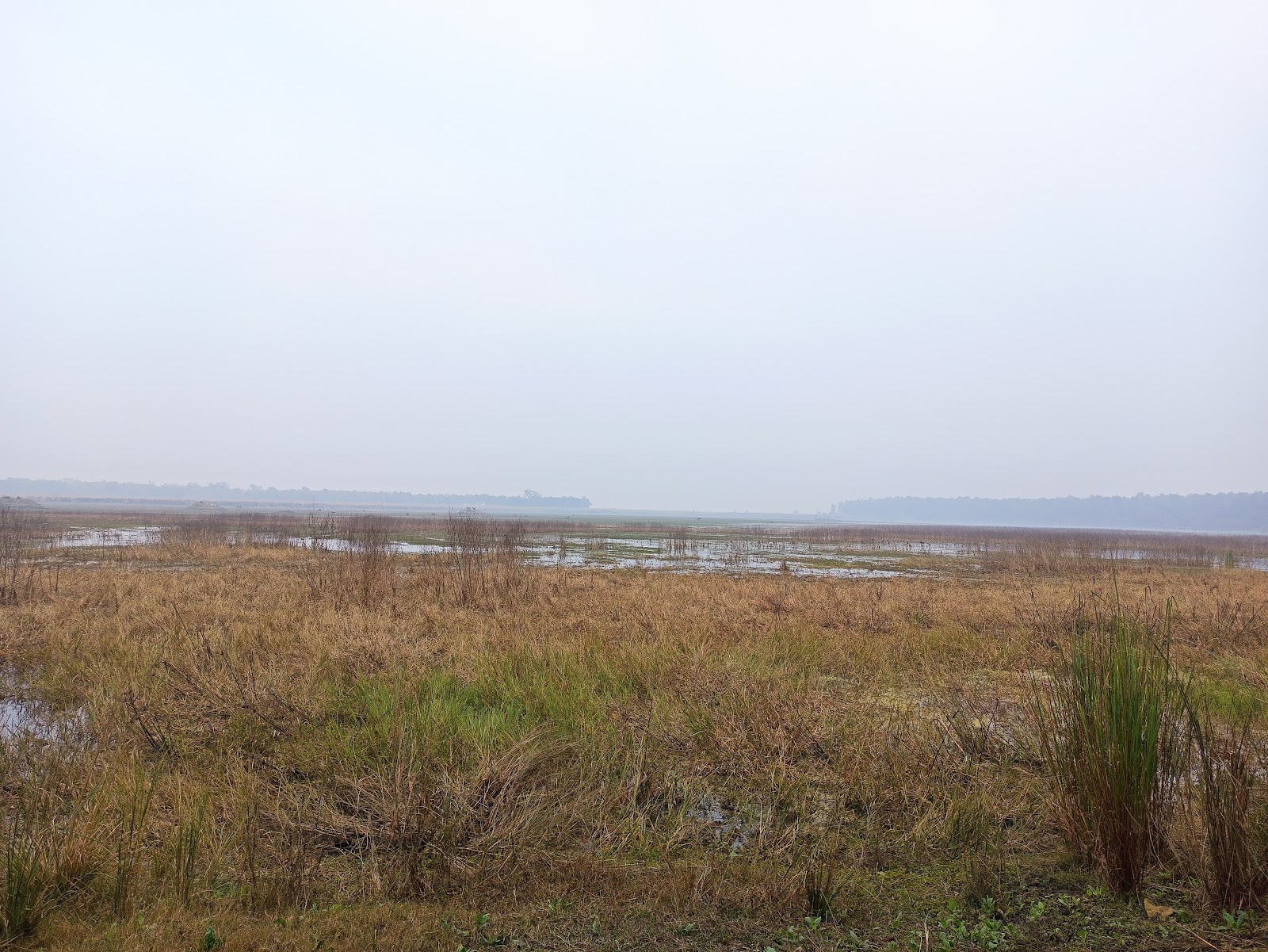 Kishanpur Wildlife Sanctuary