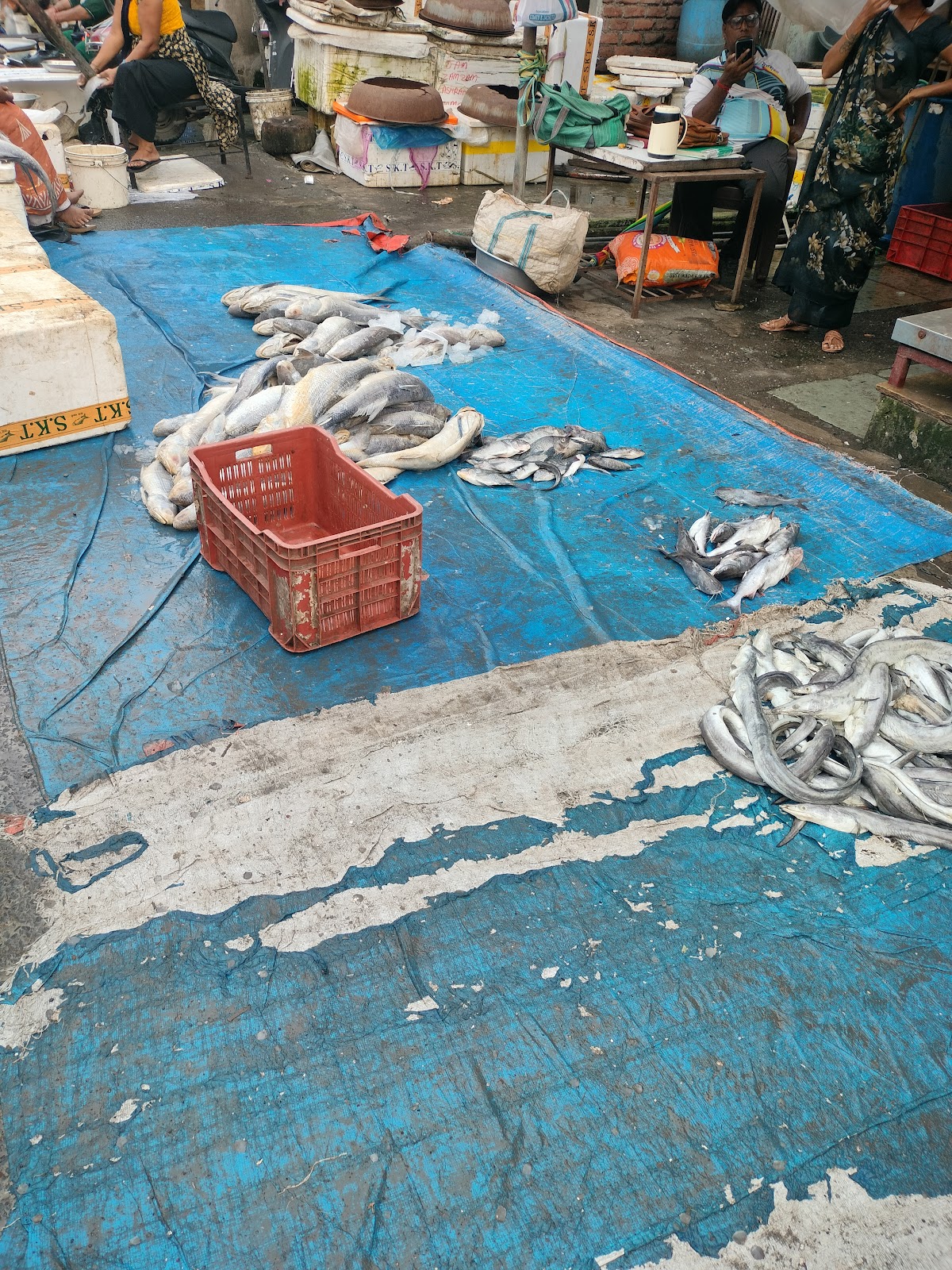 Local Fish Market Dumas