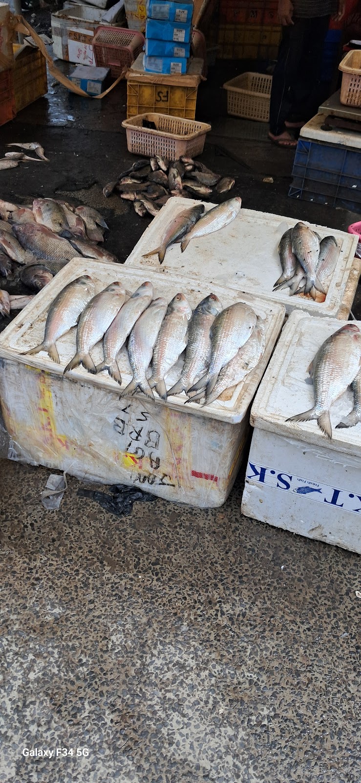 Local Fish Market Dumas