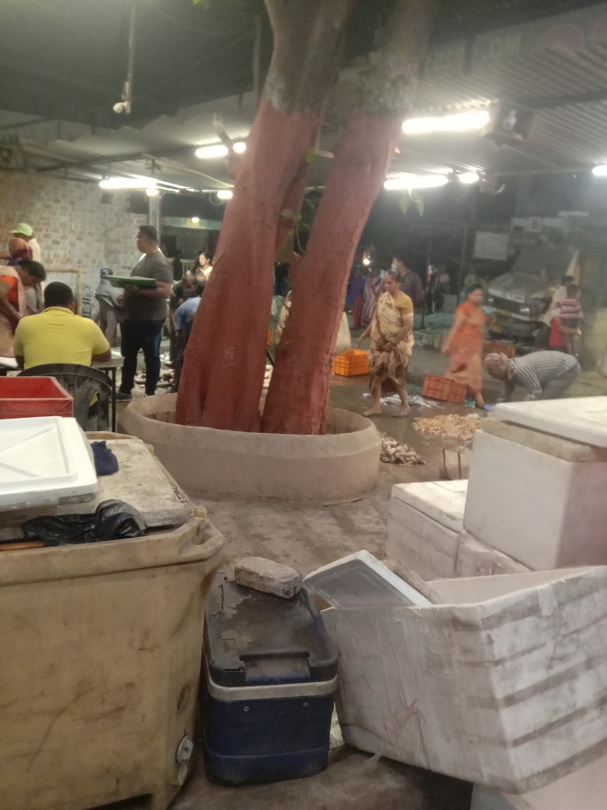 Local Fish Market Dumas