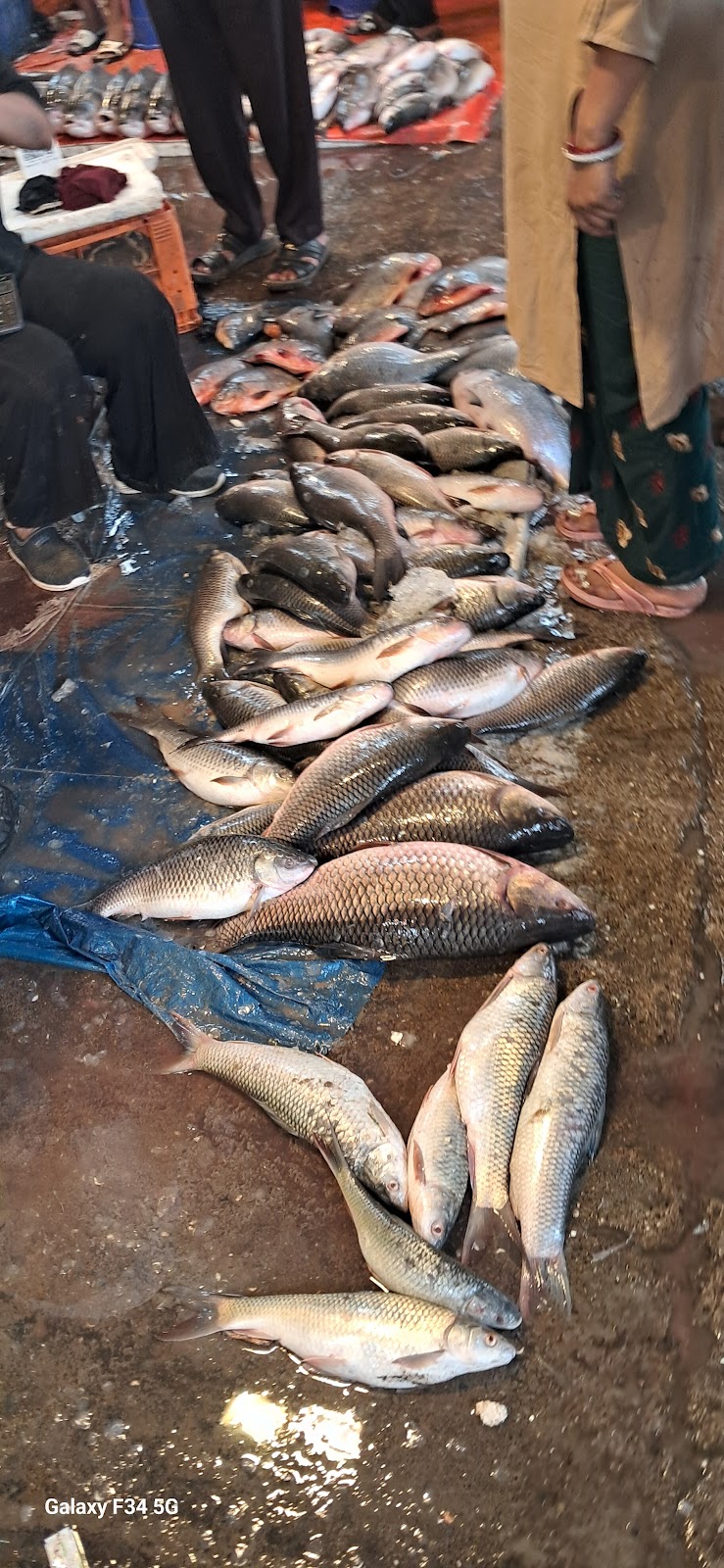 Local Fish Market Dumas