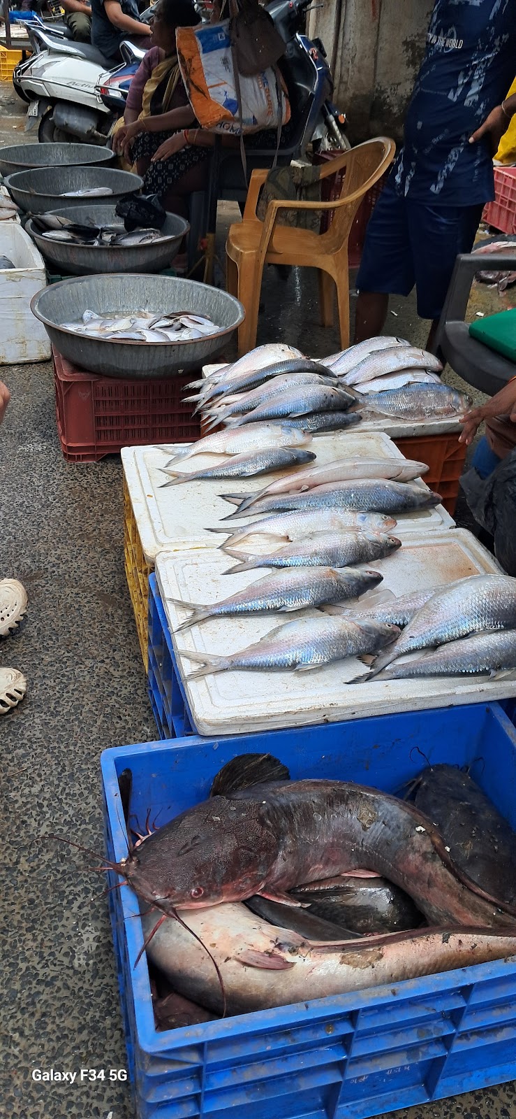 Local Fish Market Dumas