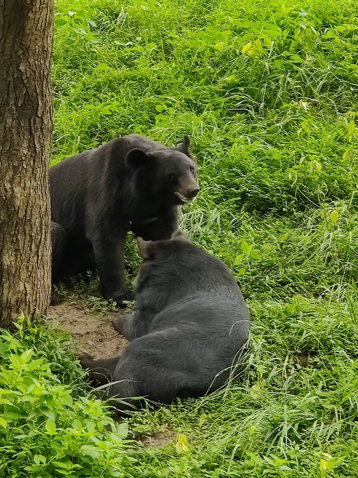 Sarthana Nature Park