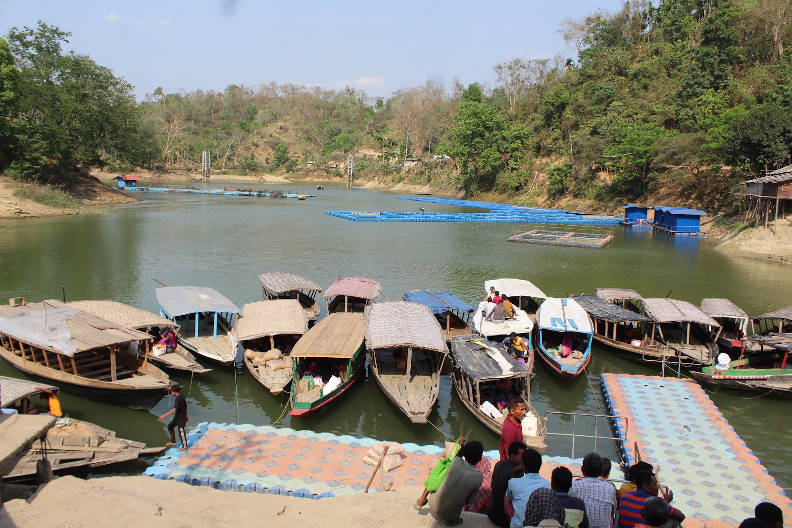 Forest Trails of Dumboor