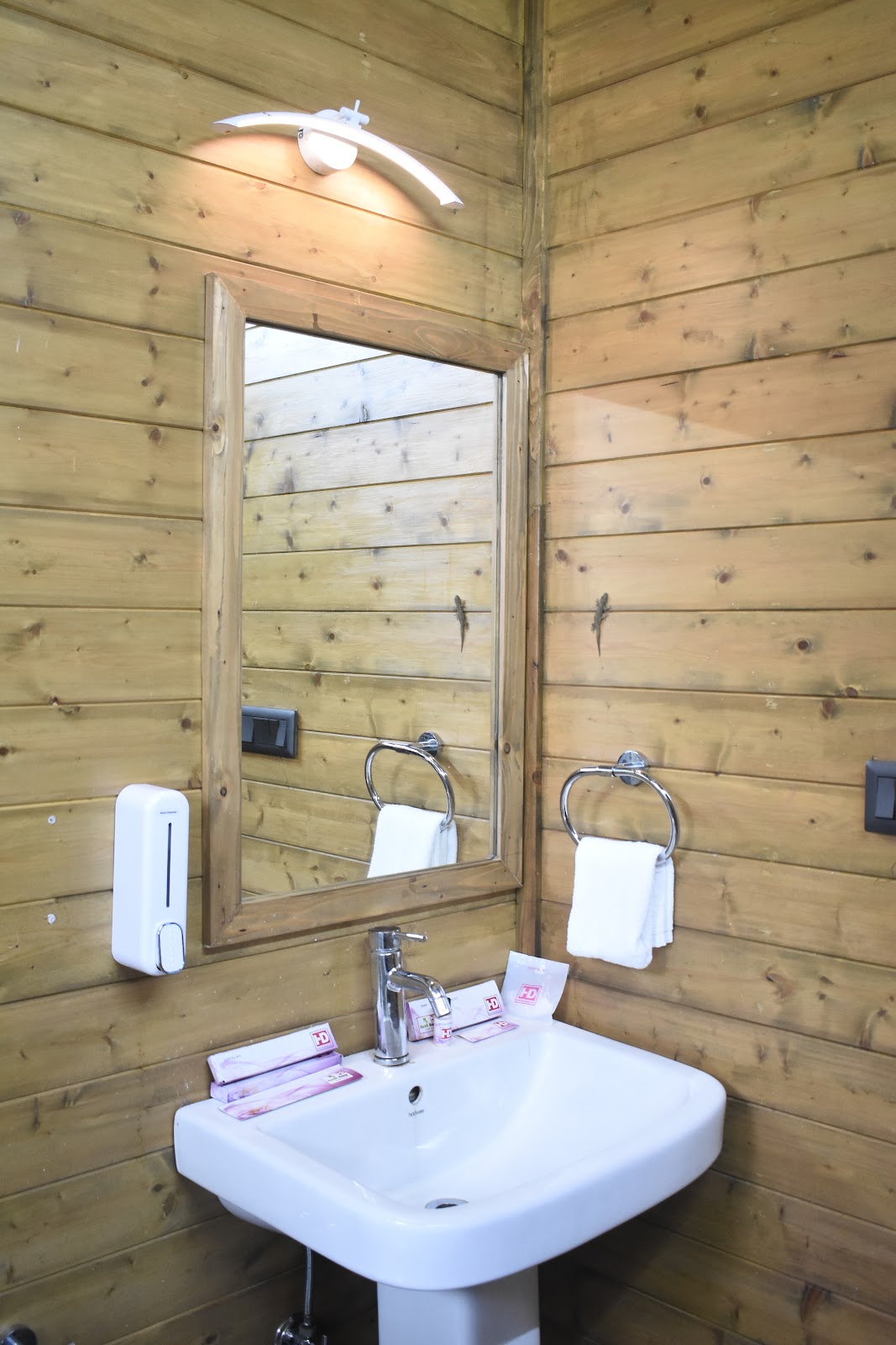 Seasonal Fruit Orchards