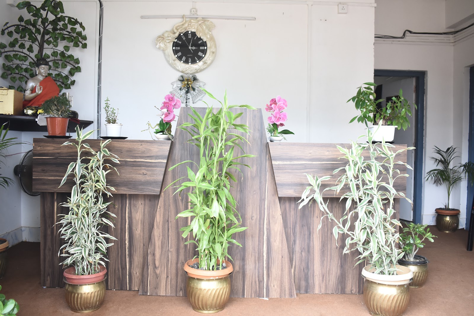 Seasonal Fruit Orchards