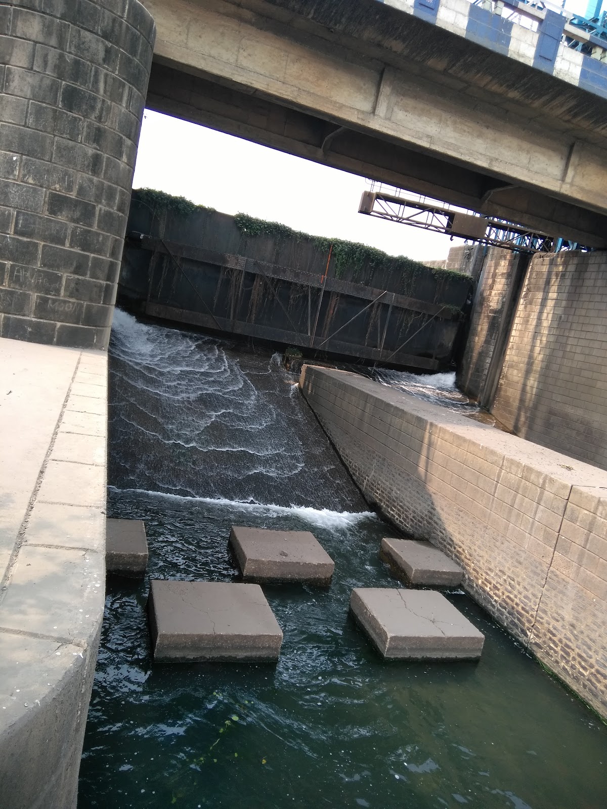 Durgapur Barrage Damodar River