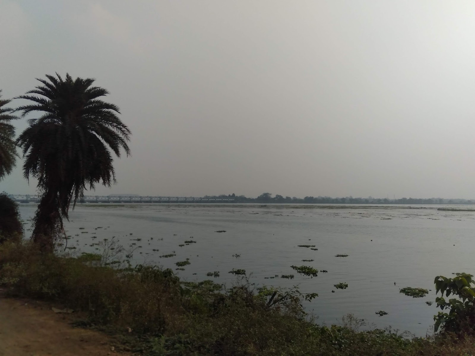Durgapur Barrage Damodar River