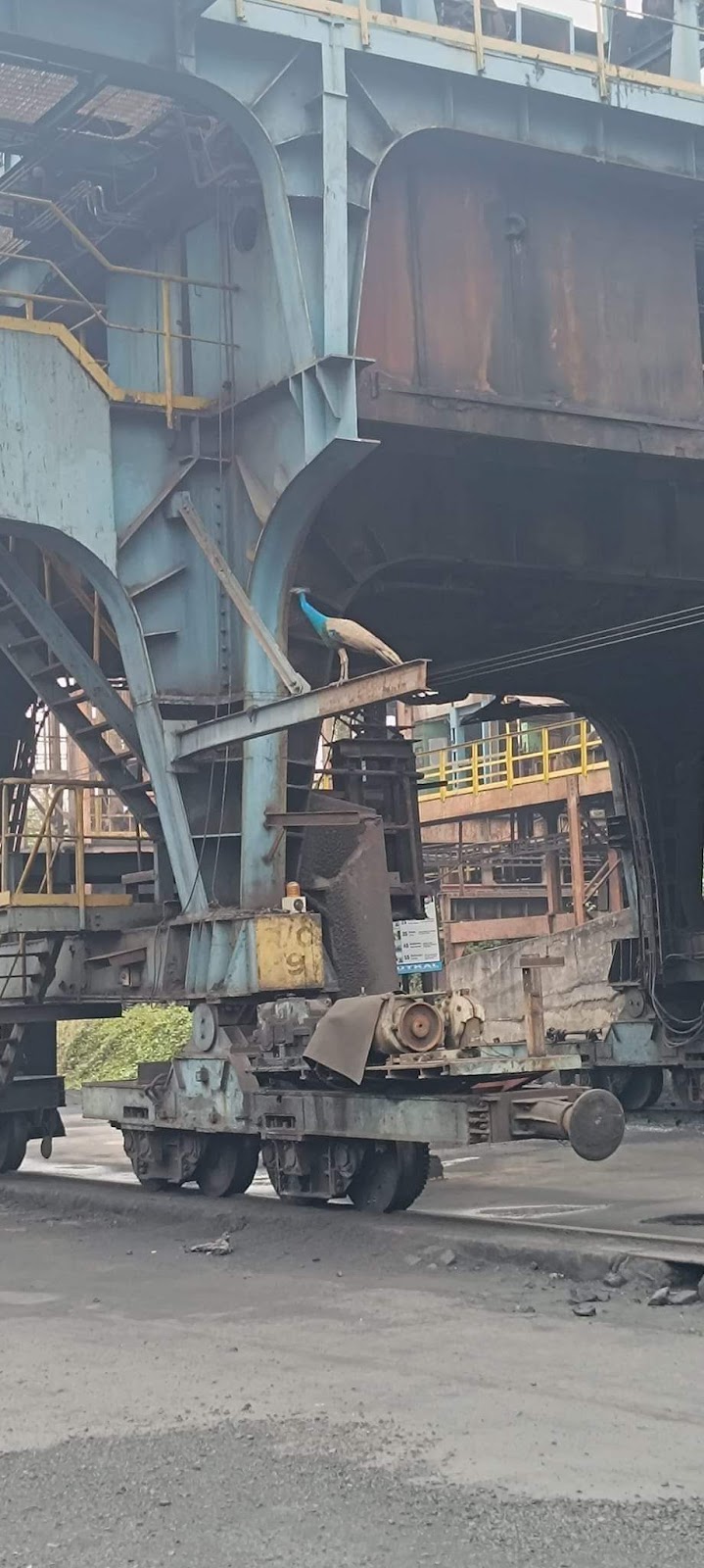 Durgapur Steel Plant