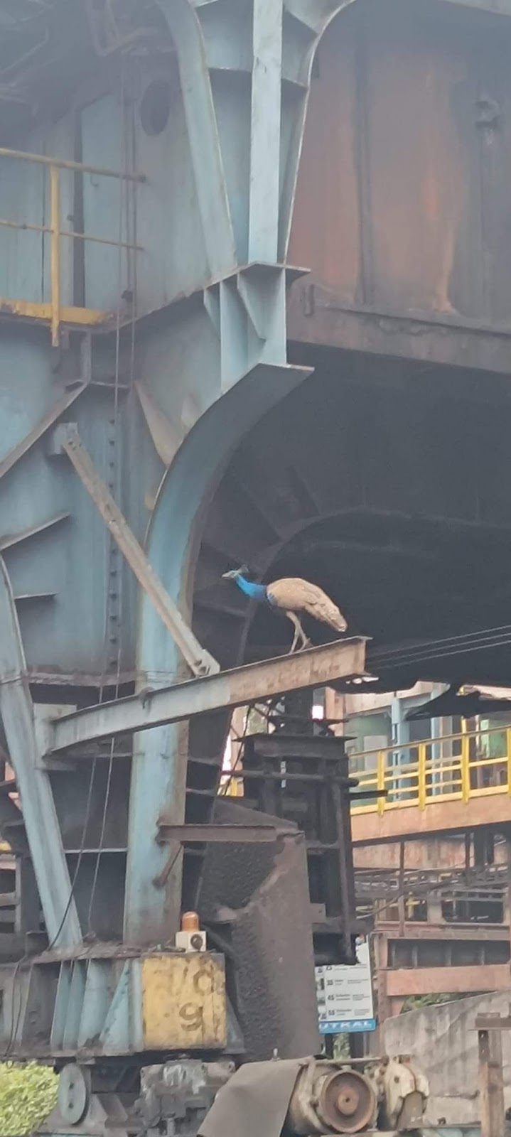 Industrial Viewpoint Sector 3