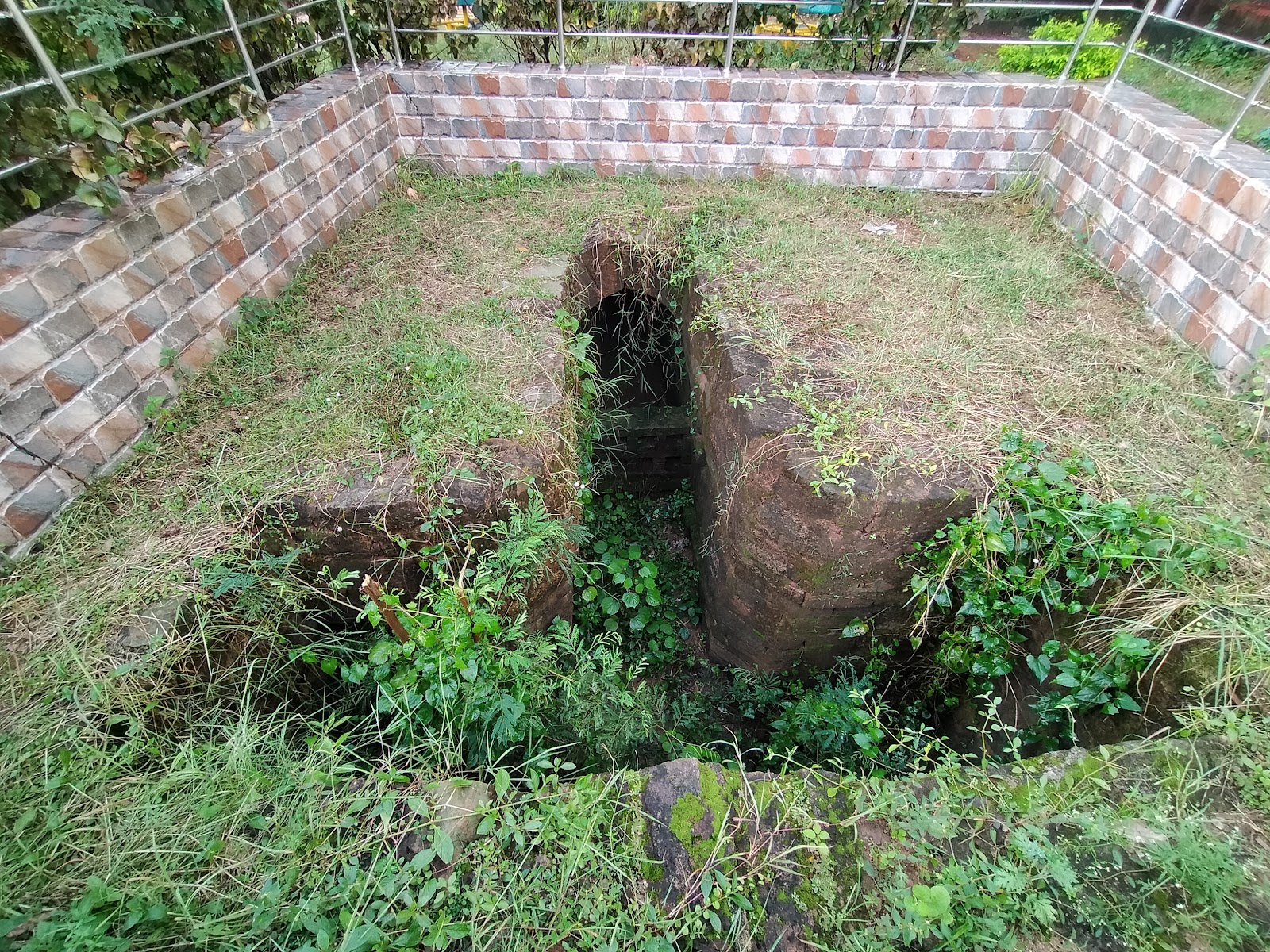 Bhabani Pathak's Forest