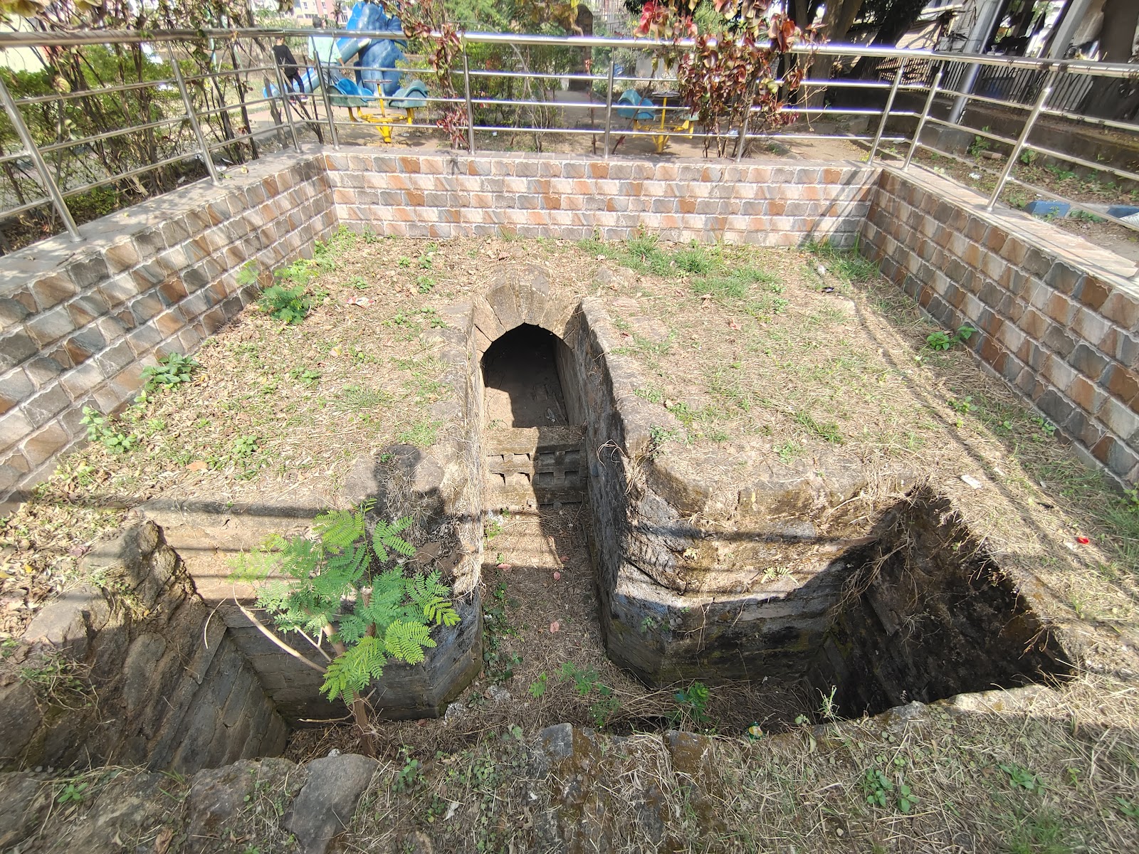 Bhabani Pathak's Forest