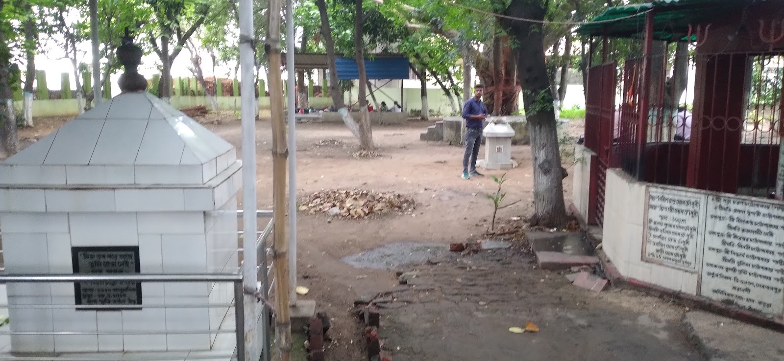 Bhabani Pathak's Forest