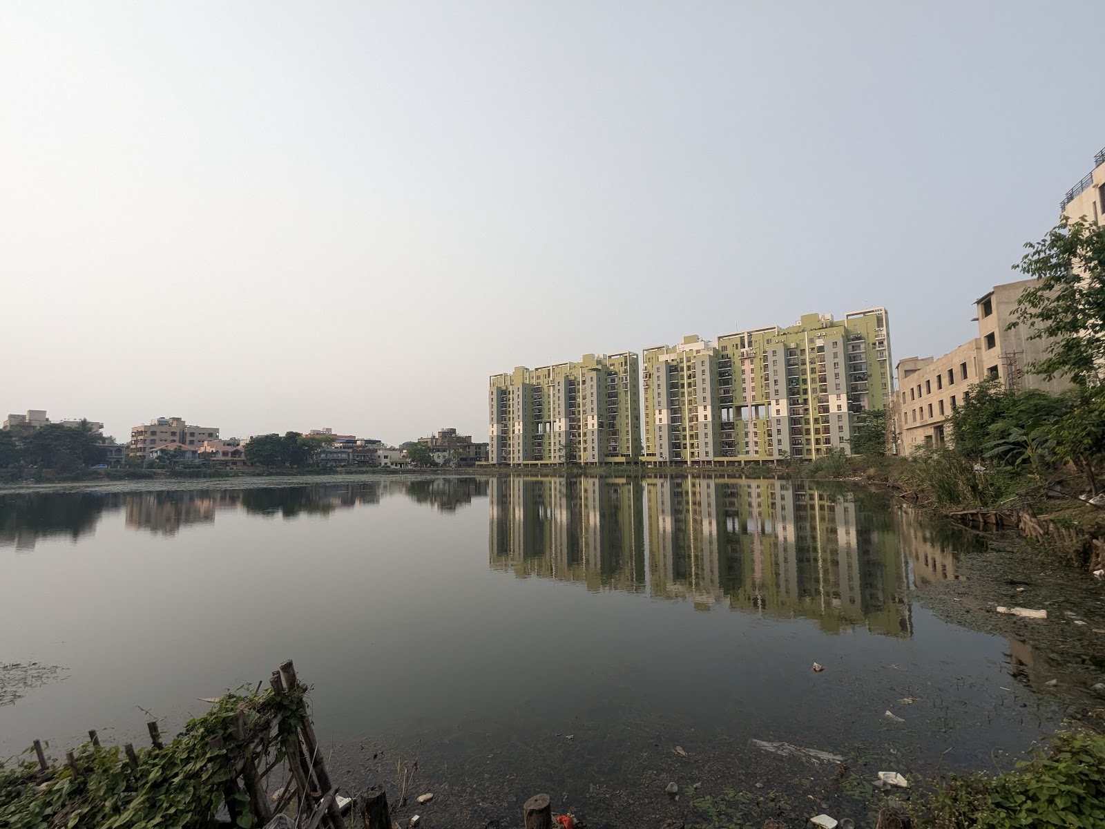 Bhabani Pathak's Forest