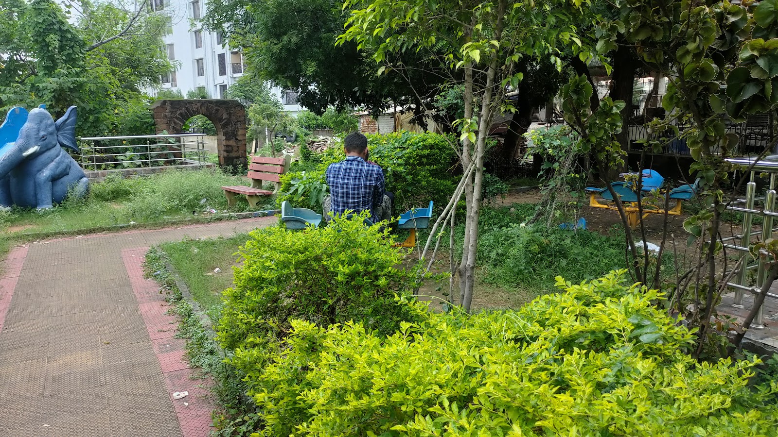 Bhabani Pathak's Forest