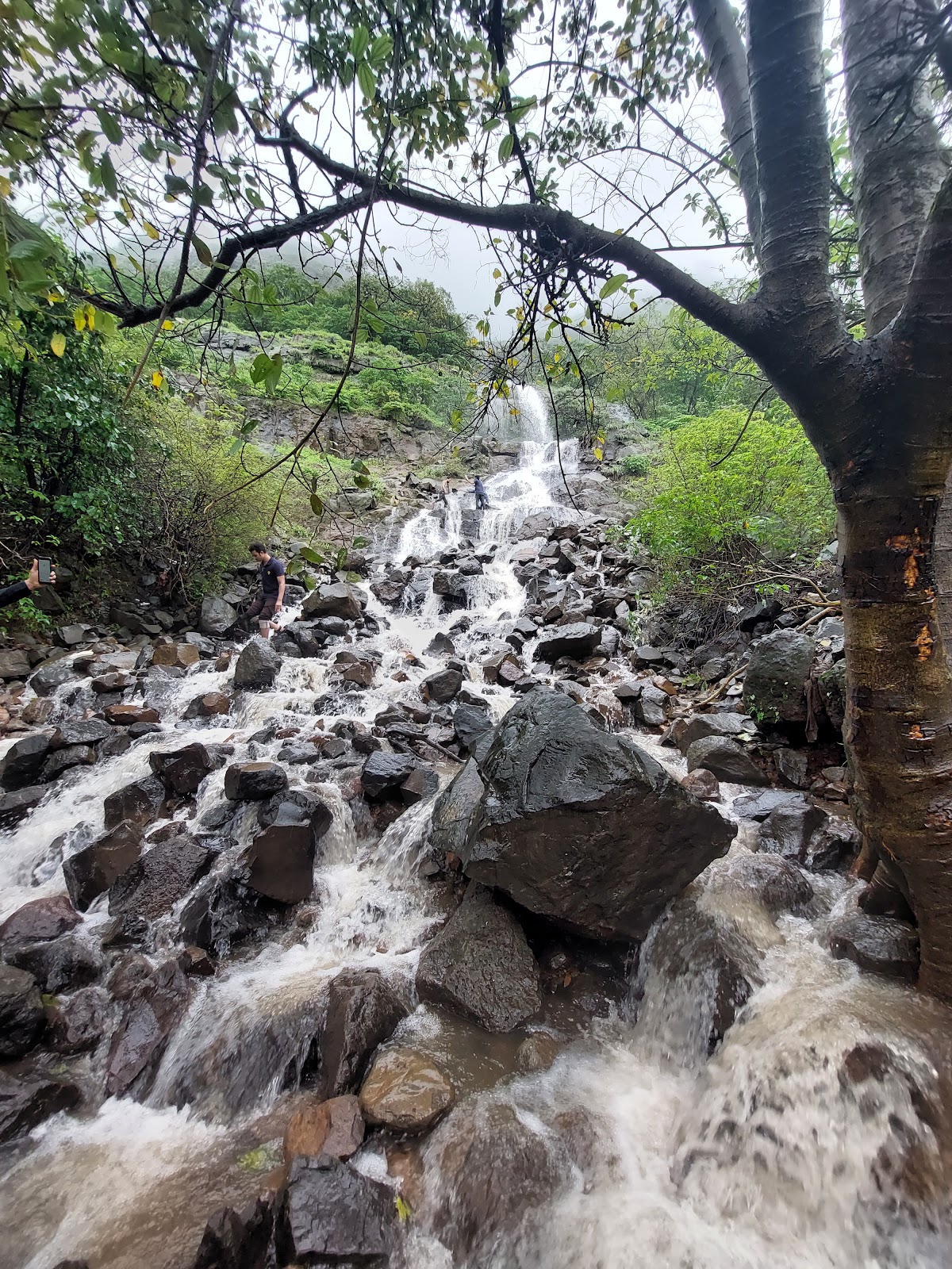 Tamhini Ghat Waterfalls