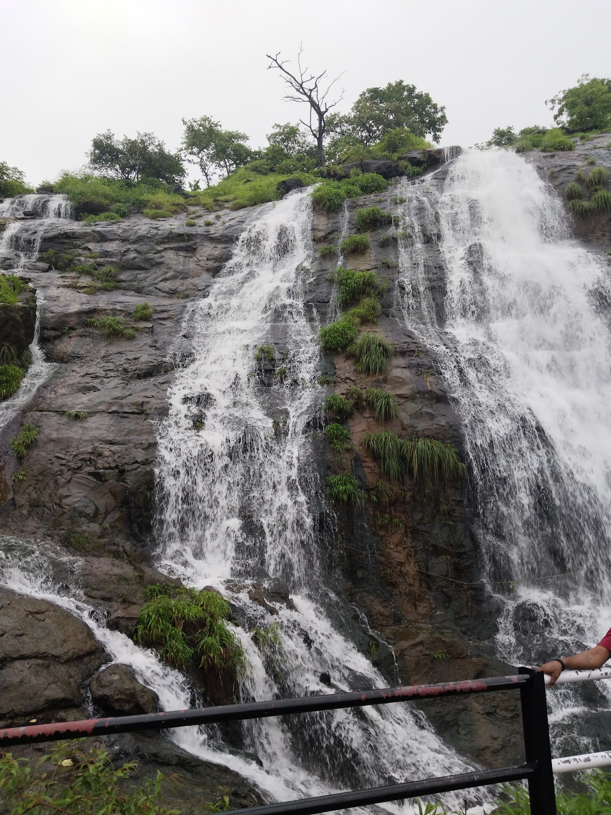 Tamhini Ghat Waterfalls
