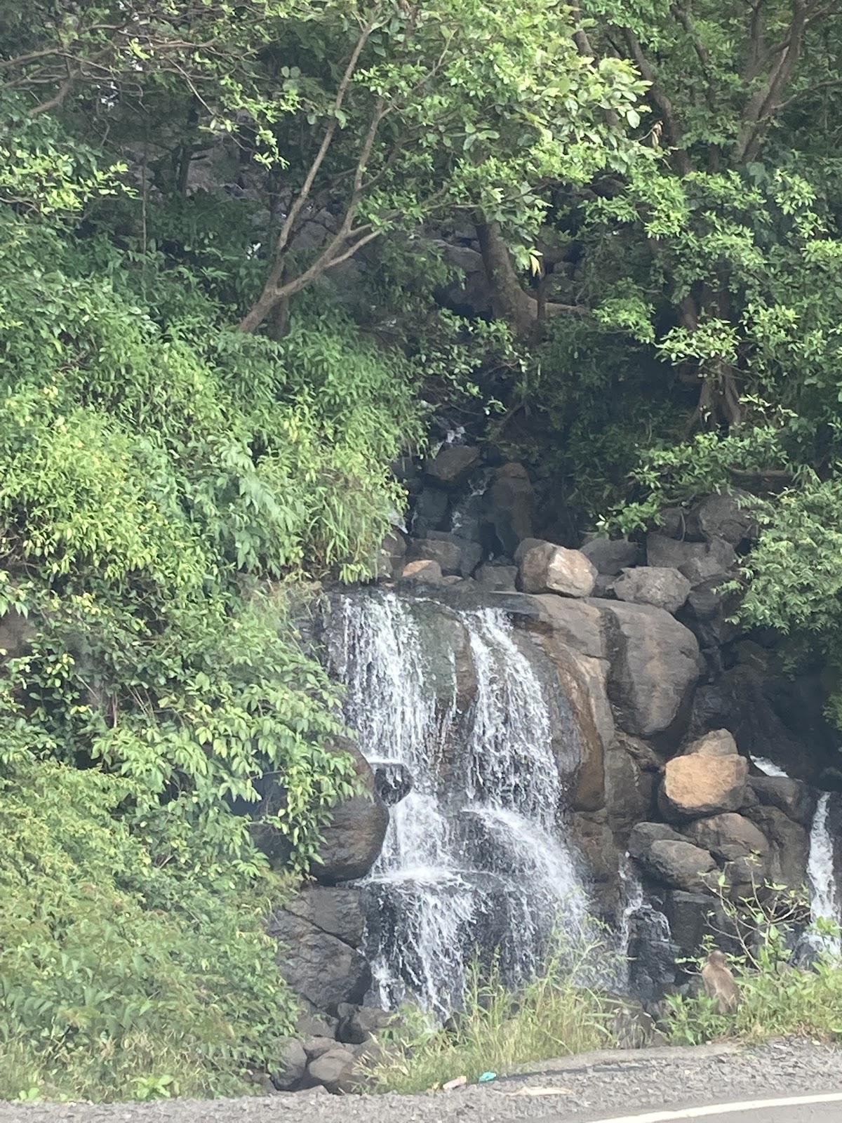 Tamhini Ghat Waterfalls