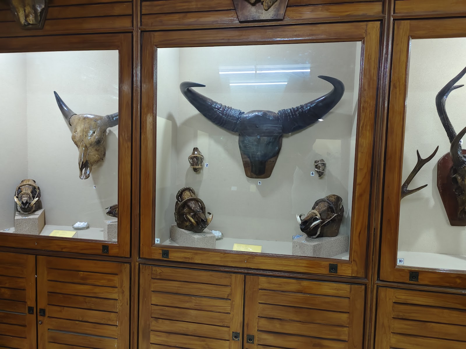 Mizoram State Museum