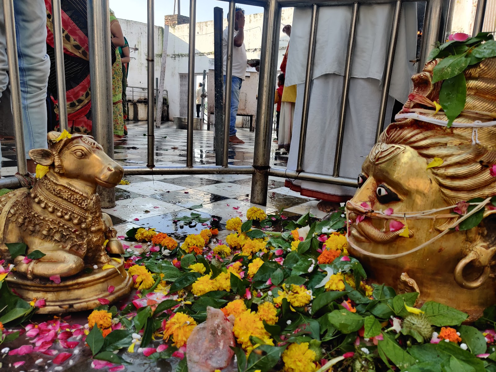 Pateshwar Nath Temple