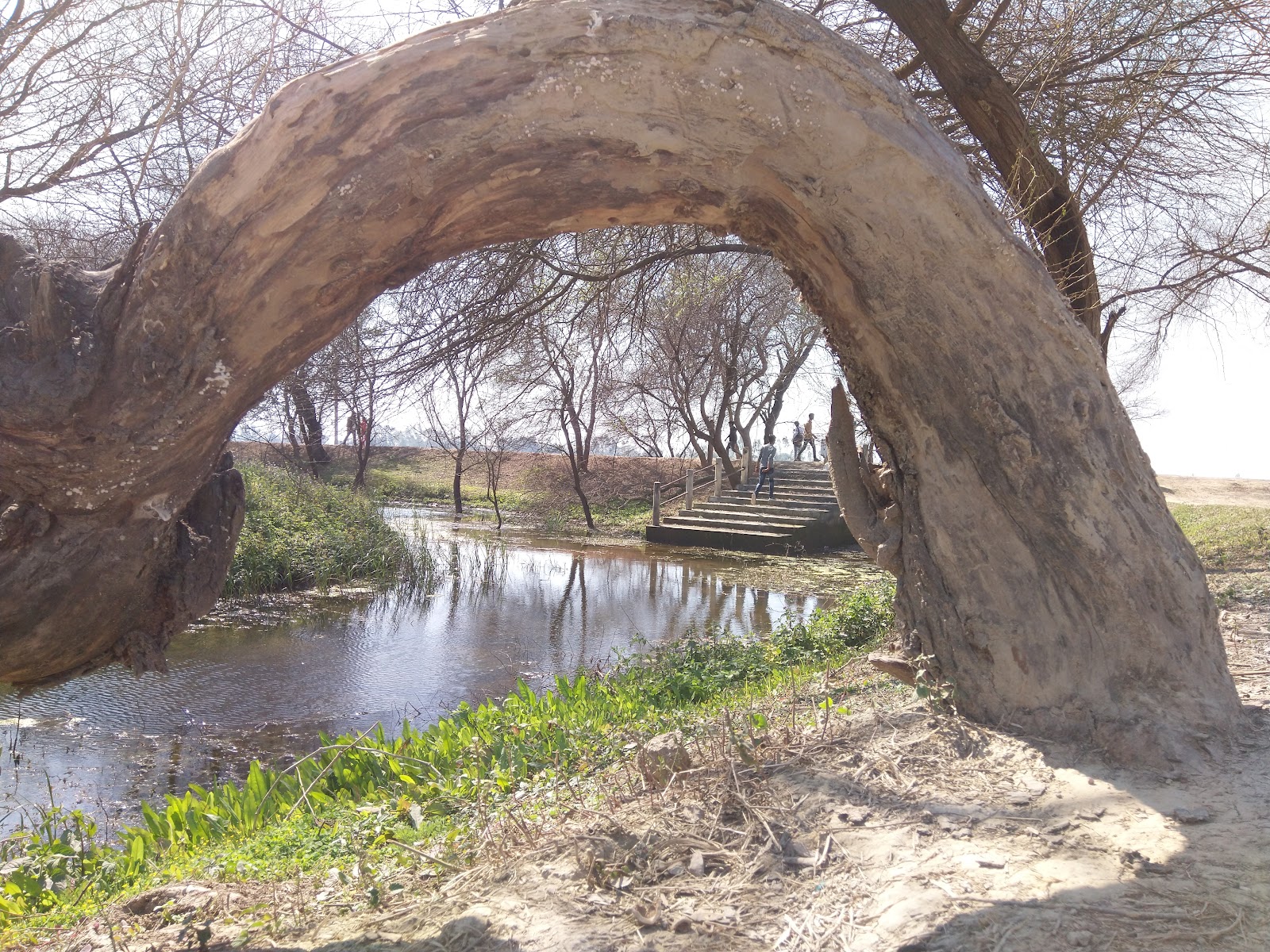 Sandi Bird Sanctuary